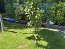 Saison 2026 012